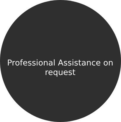 Professional Assistance on request